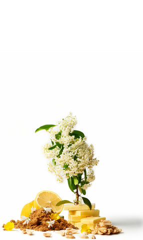 Delight Fusion_ingredient_image